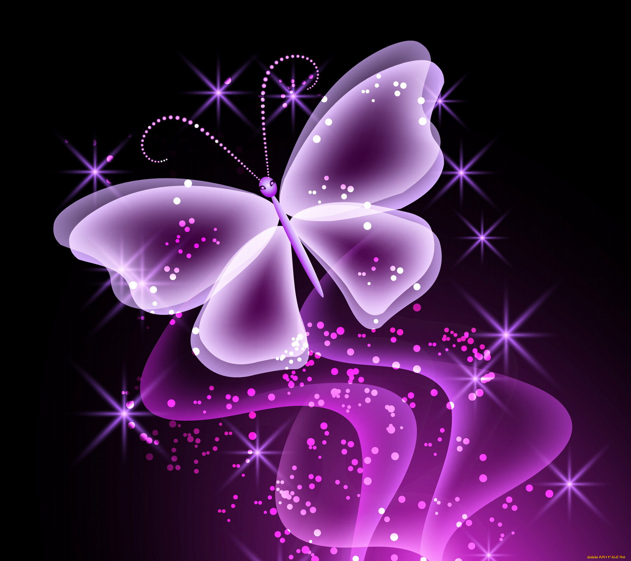 3 , animals , , , , 